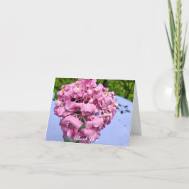 Rosa Hydrangeor På Ett Bord Tack Kort