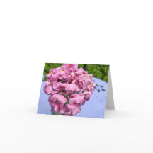 Rosa Hydrangeor På Ett Bord