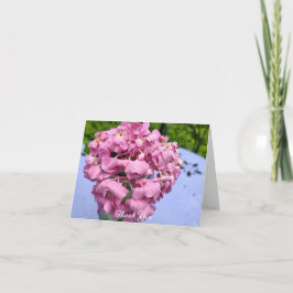 Rosa Hydrangeor På Ett Bord Tack Kort