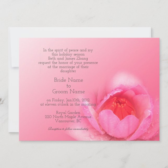 rosa i rosa. 粉 红 色 睡 莲 。 inbjudningar (Framsida)