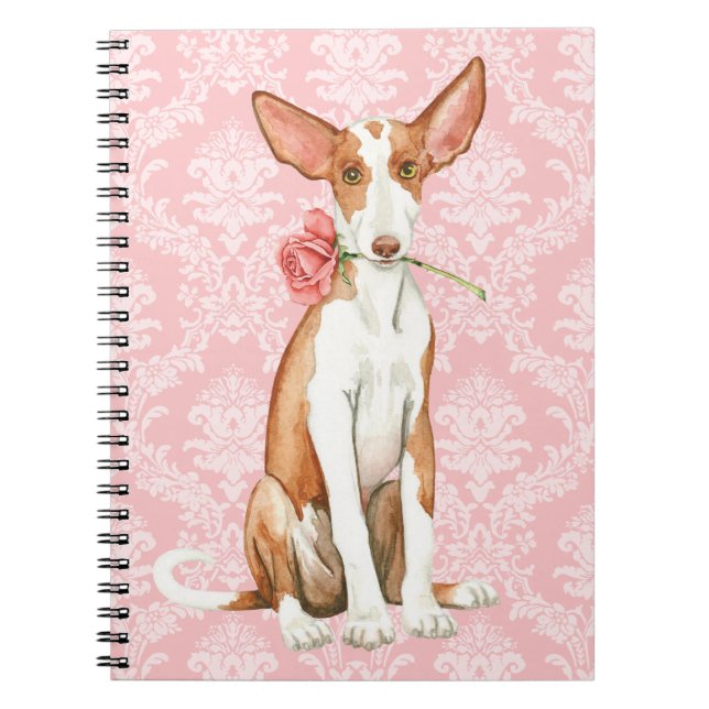 Rosa Ibizan för valentin hund Anteckningsbok Med Spiral (Framsidan)