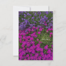 Rosa Ice Plant & Lavender Anteckningskort