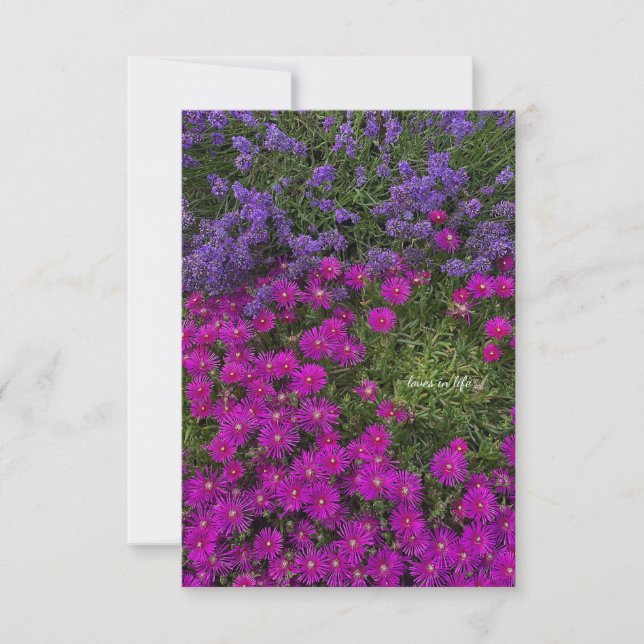 Rosa Ice Plant & Lavender Anteckningskort (Framsida)