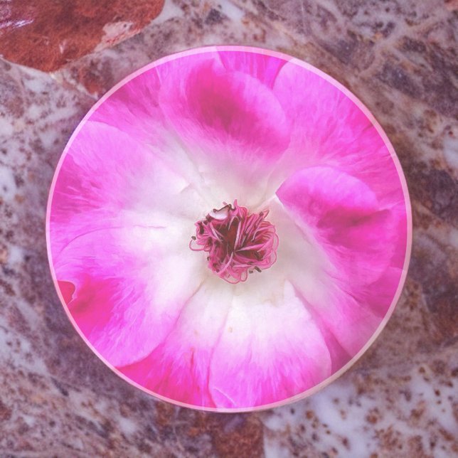 Rosa Iceberg Ro Underlägg (Skapare uppladdad)