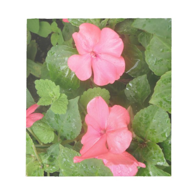 Rosa Impatiens Flowers Anteckningsblock (Framsida)