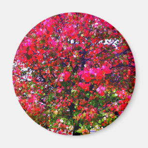 Rosa impressionistisk Höst löv träd Magnet