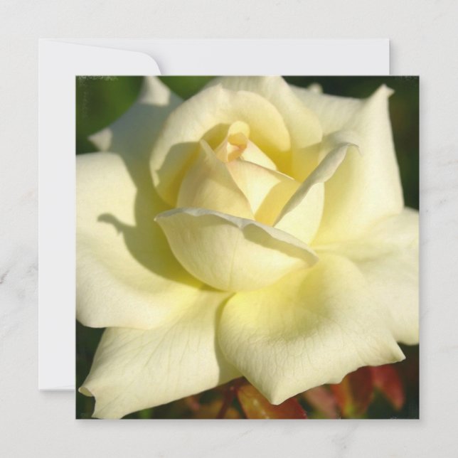 Rosa inbjudan för elfenben (Framsida)