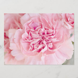 Rosa Inbjudningar