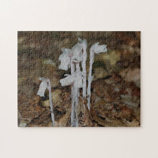Rosa Indian Pipe Ghost Flower Pussel (Horisontell)