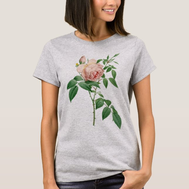 Rosa indica fragrans botaniska illustration t shirt (Framsida)