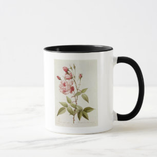 Rosa Indica Vulgaris, från 'Les ro Mugg