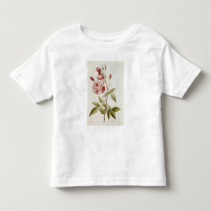 Rosa Indica Vulgaris, från 'Les ro T-shirt