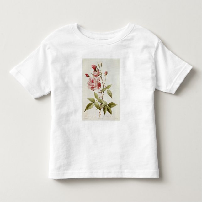 Rosa Indica Vulgaris, från 'Les ro T-shirt (Framsida)