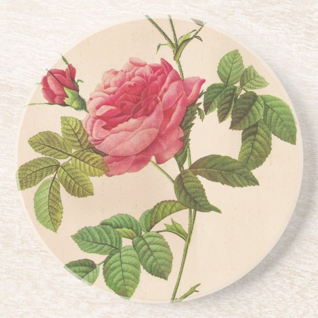 Rosa Inermis, Pierre Joseph Redouté Underlägg Sandsten (Framsidan)