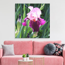 Rosa Iris Flower Canvas, sol-kyld Canvastryck