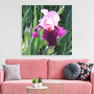 Rosa Iris Flower Canvas, sol-kyld Canvastryck