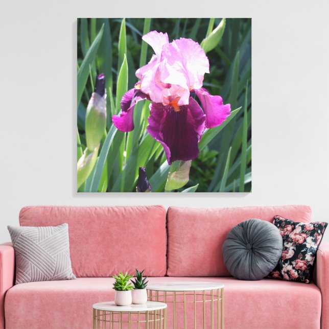 Rosa Iris Flower Canvas, sol-kyld Canvastryck (Insitu (Vardagsrum))