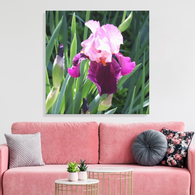 Rosa Iris Flower Canvas, sol-kyld Canvastryck (Insitu (Vardagsrum))