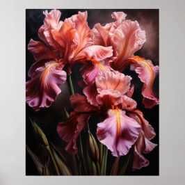 Rosa Iris Flowers Art Print Poster