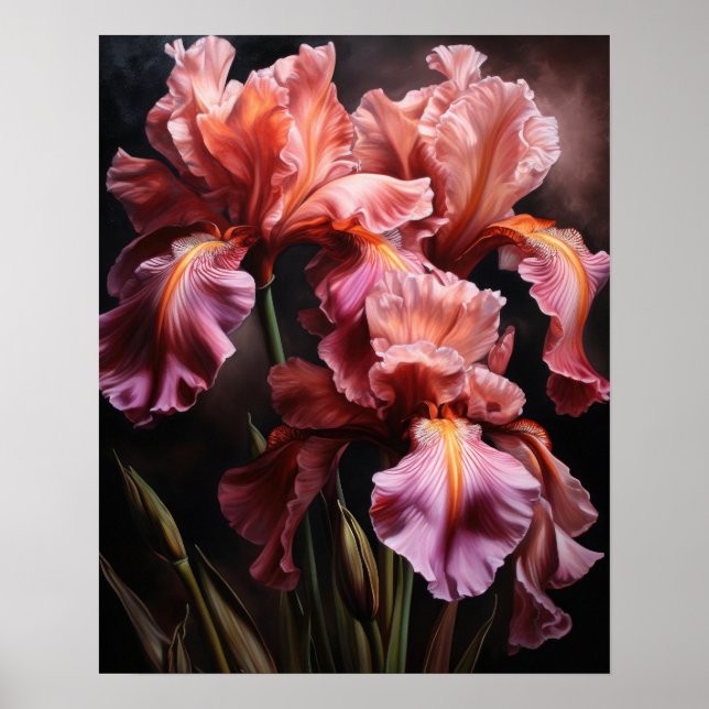 Rosa Iris Flowers Art Print Poster (Framsidan)