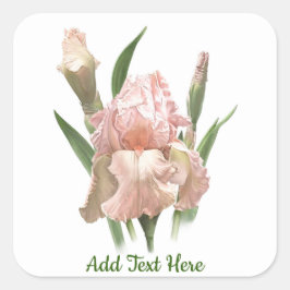 Rosa Iris Fyrkantigt Klistermärke