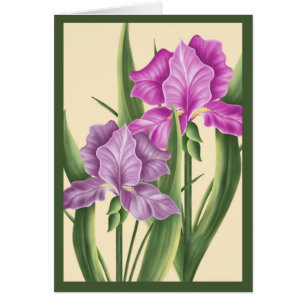 Rosa Iris Hälsningskort