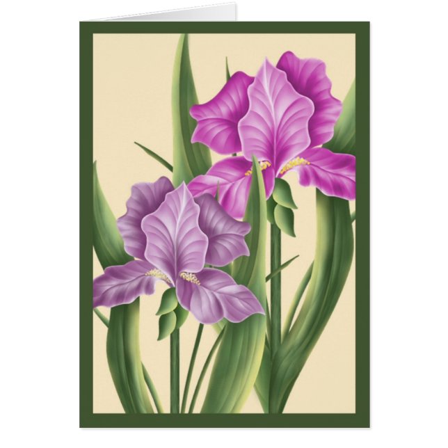 Rosa Iris Hälsningskort (Framsidan)