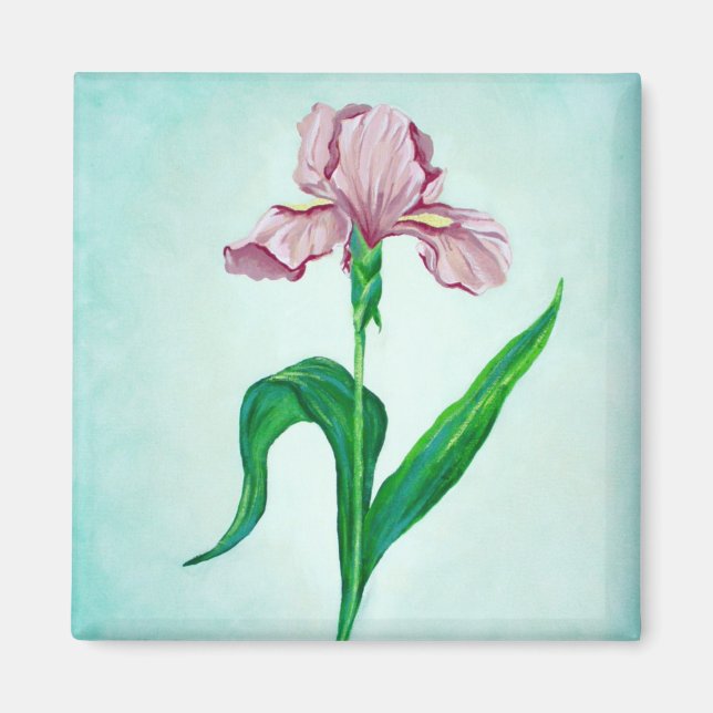 Rosa Iris magnet (Framsidan)