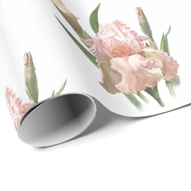 Rosa Iris med Skärhet Presentpapper (Rullad Hörn)