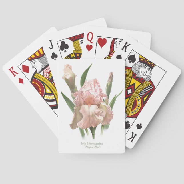 Rosa Iris med Skärhetston Casinokort (Baksidan)