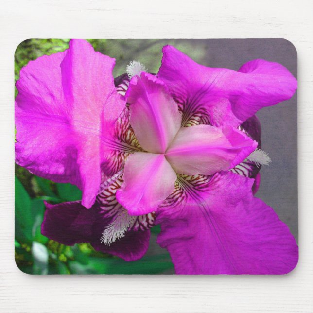 Rosa Iris Mousepad Musmatta (Framsidan)