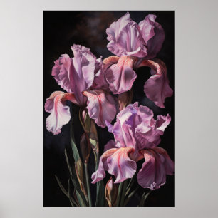 Rosa Irises Flower Art Print Poster