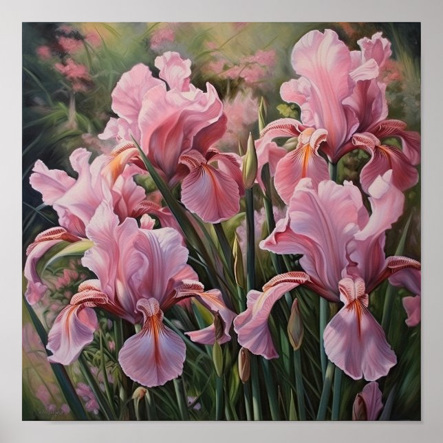 Rosa Irises Flower Art Print Poster (Framsidan)