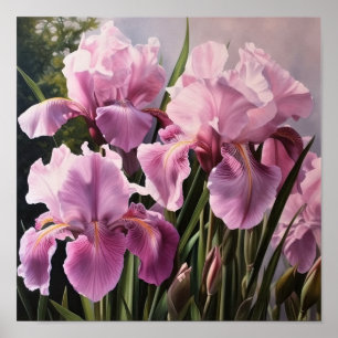 Rosa Irises Flower Art Print Poster