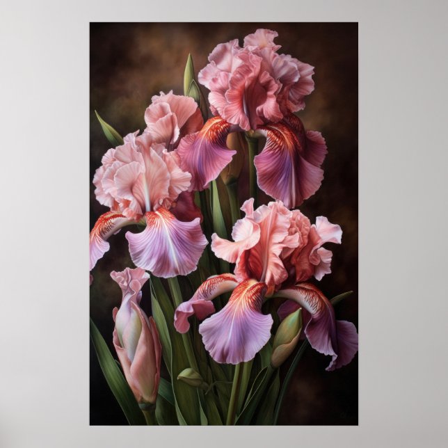 Rosa Irises Flower Art Print Poster (Framsidan)
