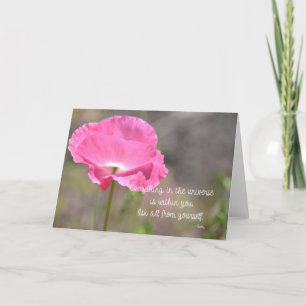Rosa Island Poppy Flower Kort