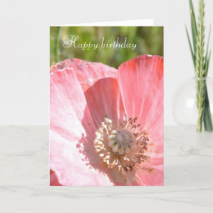 Rosa Island Poppy III Kort
