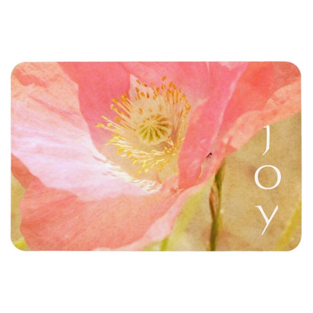 Rosa Island Poppy Joy Magnet (Horisontell)