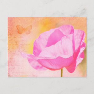 Rosa Island Poppy Vykort