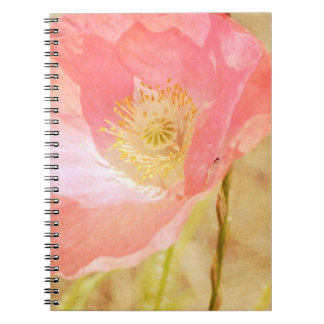 Rosa islandvallmoanteckningsbok anteckningsbok