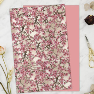 Rosa Japanska Cherry Blommars Blommigt Papper