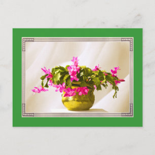 Rosa jul Cactus Porträtt Helg Vykort