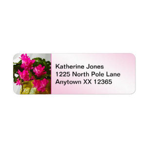 Rosa julaktus Floral Photography Close up-up Returadress Etikett