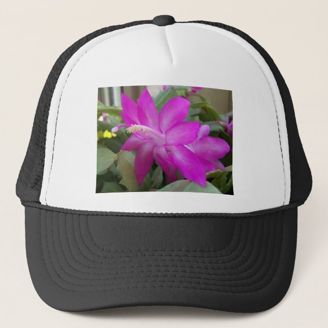 Rosa Julkaktus-blomning Truckerkeps (Framsida)
