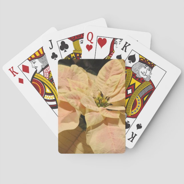 Rosa julstjärnajul som leker kort spelkort (Baksidan)