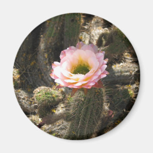 Rosa kaktusblomma magnet