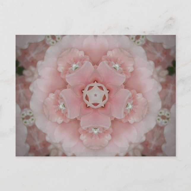 Rosa Kaleidoscope Blommigt Vykort (Framsida)