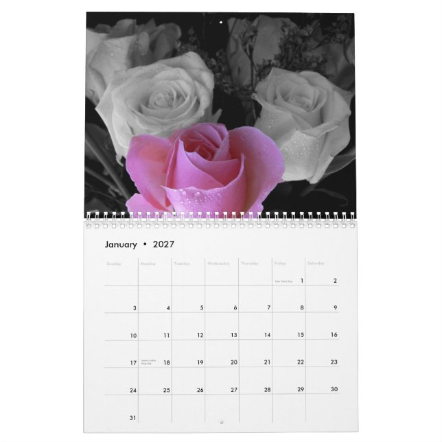 Rosa kalender 2015 (Jan 2027)