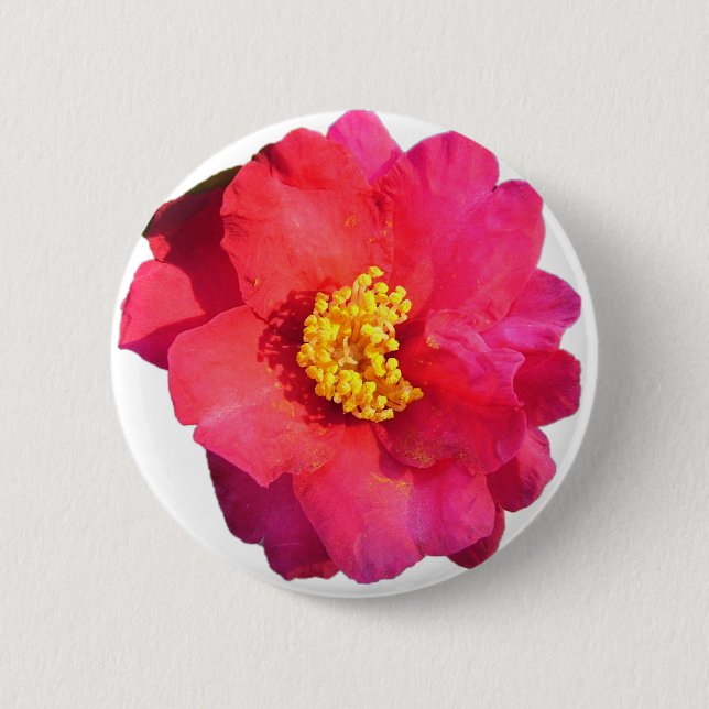 rosa kamelia blomma knapp (Framsida)