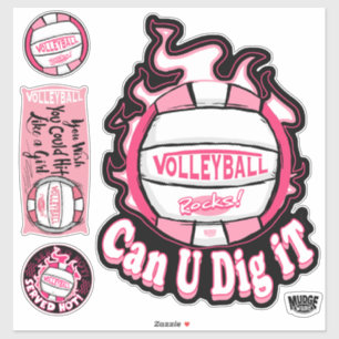 Rosa Kan du Gräva det Volleyball? Klistermärken